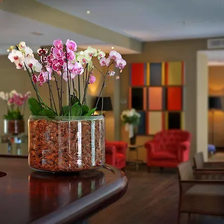 Alomar (adults Only) Hotel Palma de Mallorca
